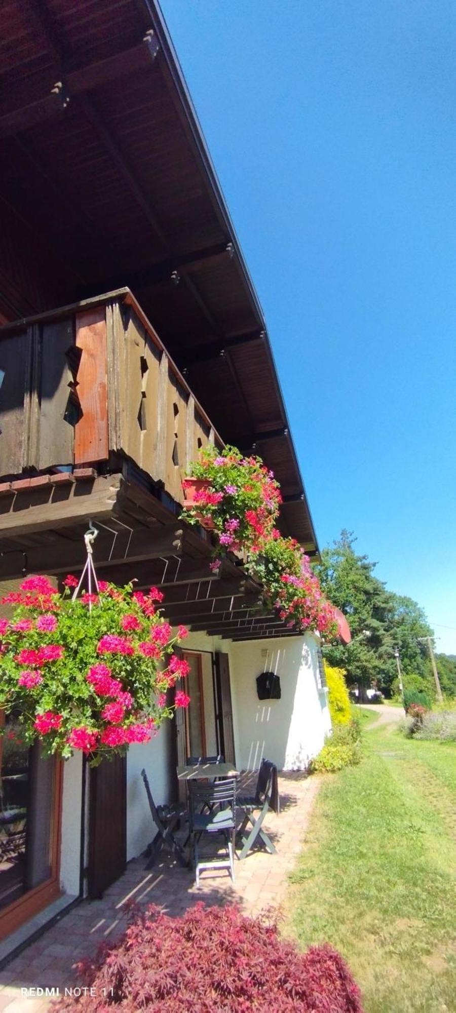 Chalet Au Bois Des Ecureuils Classe Trois Etoiles. Muhlbach-sur-Munster Buitenkant foto