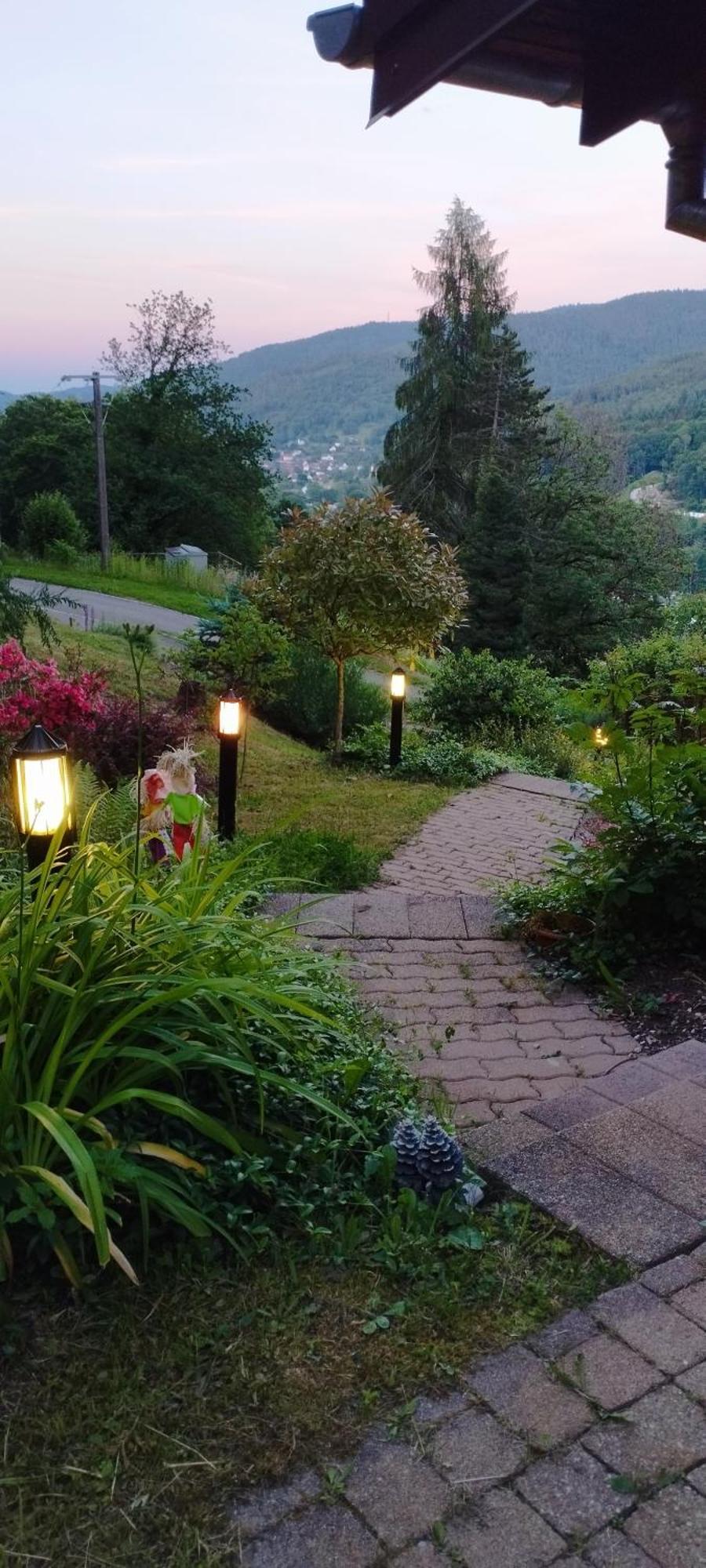 Chalet Au Bois Des Ecureuils Classe Trois Etoiles. Muhlbach-sur-Munster Buitenkant foto