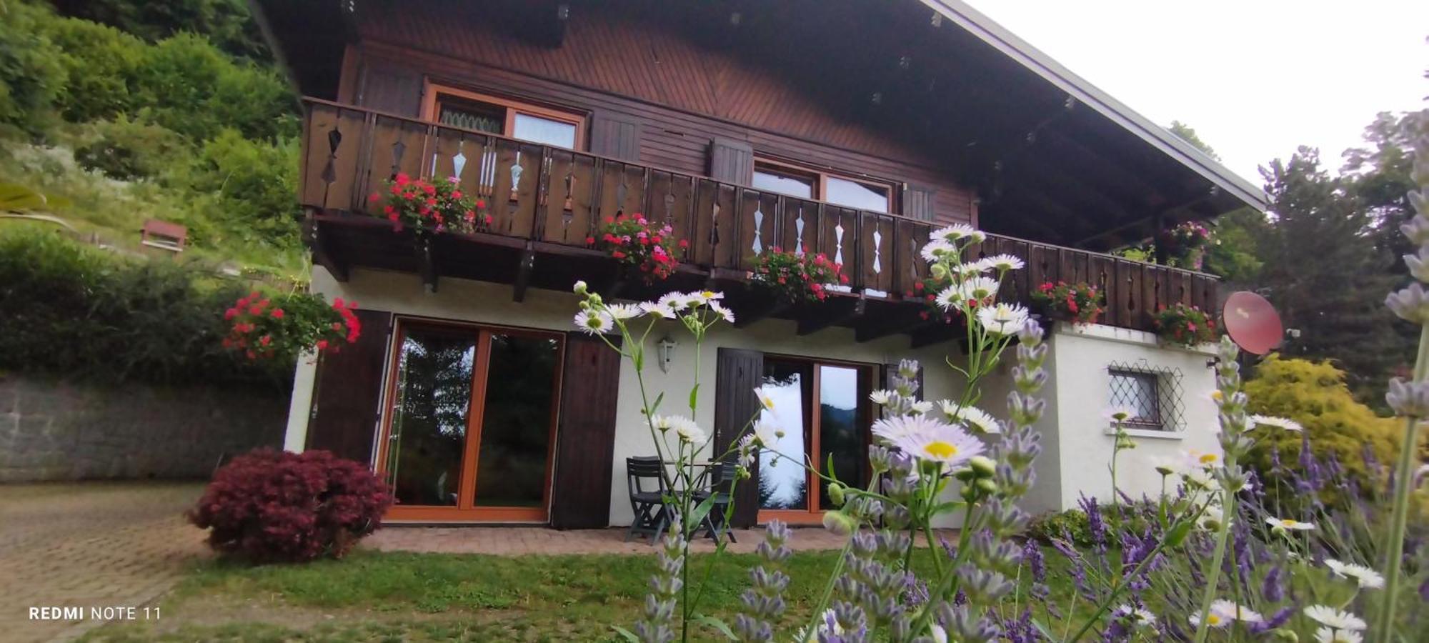 Chalet Au Bois Des Ecureuils Classe Trois Etoiles. Muhlbach-sur-Munster Buitenkant foto